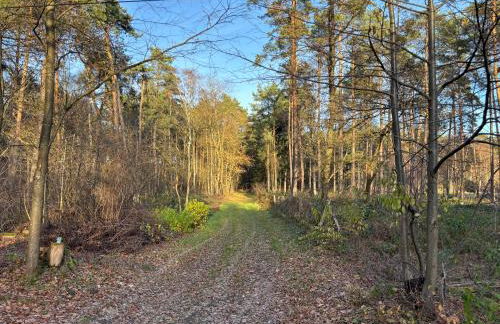 SMART Wald Apartment mit opt Buchung Wald SPA Sauna und Jacuzzi - Foto 26