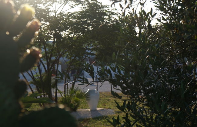 Masseria di Benedetto - Photo 45