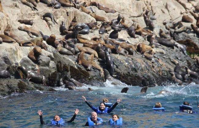 Giro in barca alle isole Palomino - Foto 5