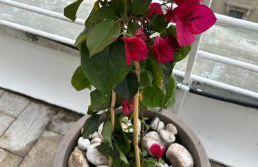 All'Arco Exclusive Apartment with Terrace - Foto 15