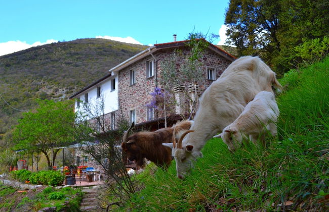 Hillside Retreat Near 5 Terre - Foto 30