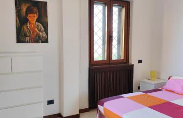 la gerbera - Foto 19