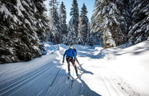 Appartement T2 cosy - Garage privé - WiFi - Foto 23