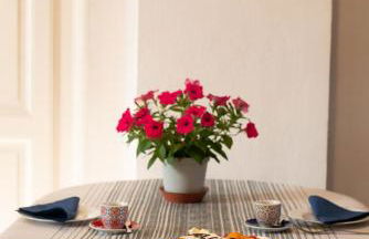 La casa sul porto - Foto 28