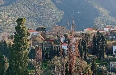 Andros Trecking Paradise Holiday Cottage by "elite" - Foto 30