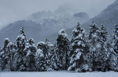 Aura de Gavin by BeValle - Foto 37