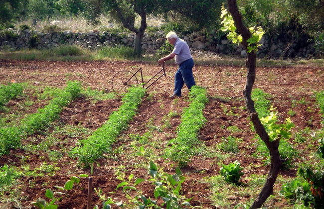 Masseria Uccio - Foto 29