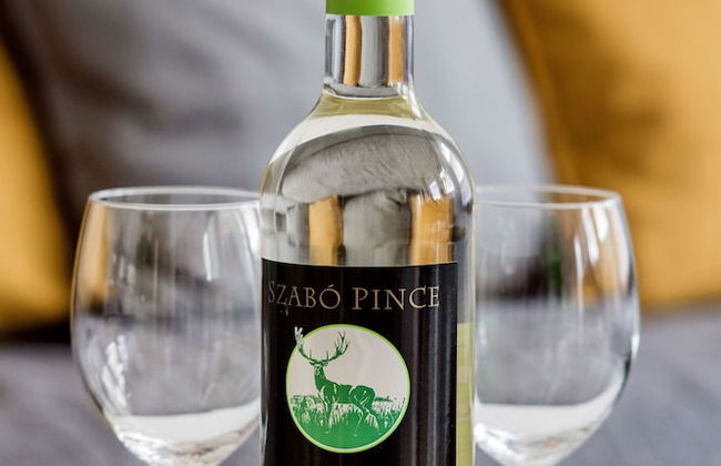 Grand Budapest Penthouse - Photo 50