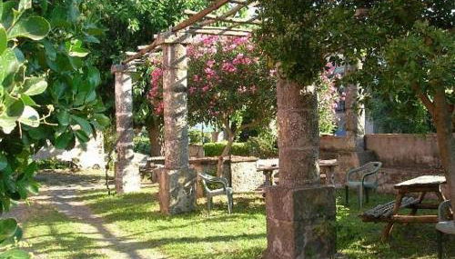 Codavolpe Giardino di Tea - Foto 5