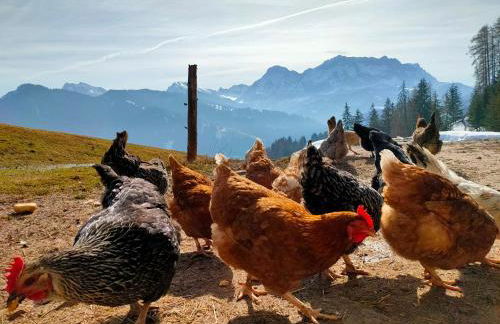 Chi Plans - Photo 39