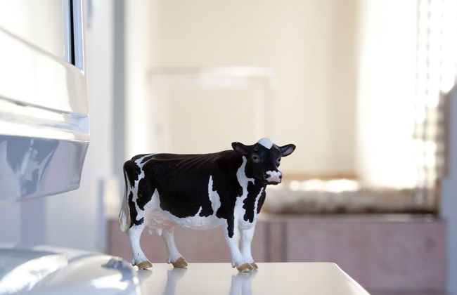 Angelina Aegina Boutique Escape - Photo 20