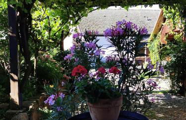 Ferienwohnung Birkental - Foto 29