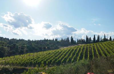 Wine Resort Dievole - Foto 21