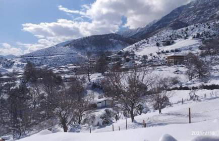 Country Home Genesi 20 min from Trikala - Foto 69