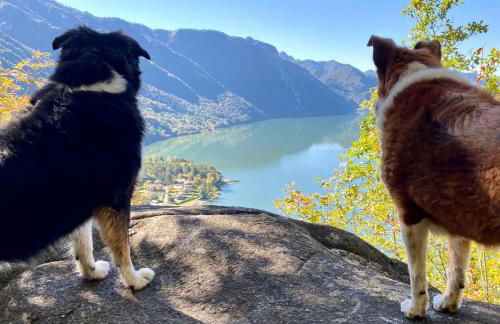 Casa Claudia, a due passi da lago e spiaggia - Foto 10