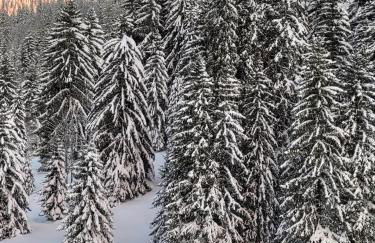 Chalet les Randonneurs spacieux 8 couchages - Foto 25