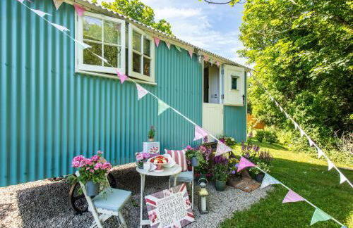 Gwithian Shepherds Hut - Foto 19