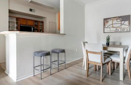 Landing Beautiful 2BD in Bee Cave - Photo 7