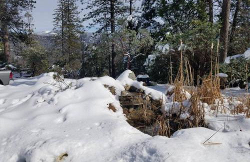 Uncle Grizz's Cabin...get intouch with nature - Foto 47