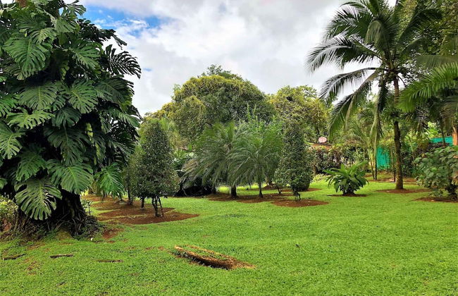 Casa Naranjito - Foto 35