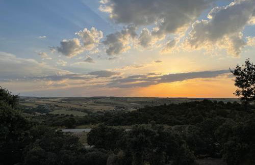El encinar de Gabino - Foto 24