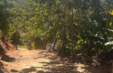 Cantinho verde - Photo 26