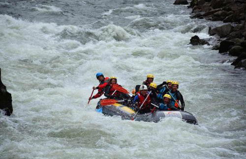 Casa da Caneleira Camélias de Basto - Foto 50