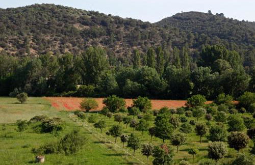 Studio Appart Verdon - Foto 4