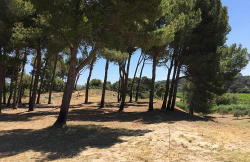 typical provencal farm in an exceptional natural site, the alpilles park - 8 people. - Foto 11