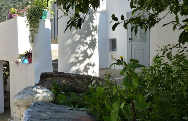 Viva Elafonisi - Foto 65