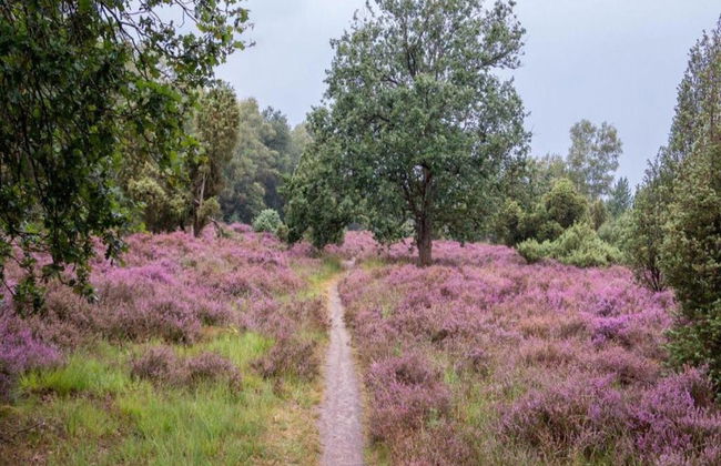 Chalet in Zuna by Tennis Court - Foto 36