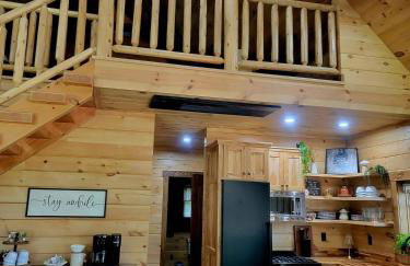 WildWood Cabin - Foto 15