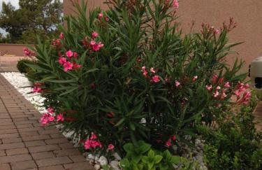 Apartments Villa Antonia - Photo 75