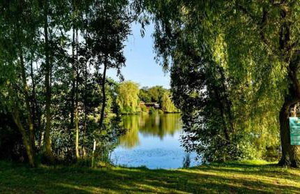 Marie Helene, 58 Mallard Carlton Meres Holiday Park - Foto 19