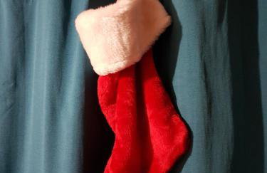 Biały Żagiel - Dom do wynajęcia Pluski - Foto 78