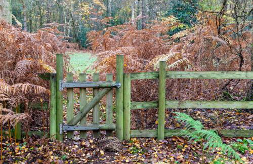 Wildwood - Norfolk Cottage Agency - Photo 21