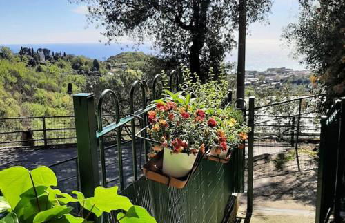 Dal Moro 44 - Foto 22