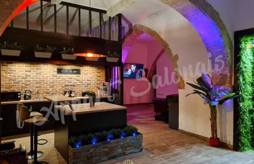 Lappart-salonais 70m2 avec jacuzzi privatif - Foto 11