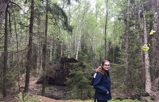 Stockholm Wildlife Safari - Foto 2