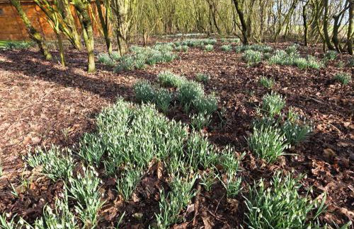 Lighthouse Lodge - Dog Friendly Nr Sutton on Sea - Photo 25