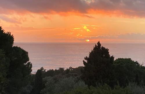 Chez Jean Claude la villa des amis - Foto 56