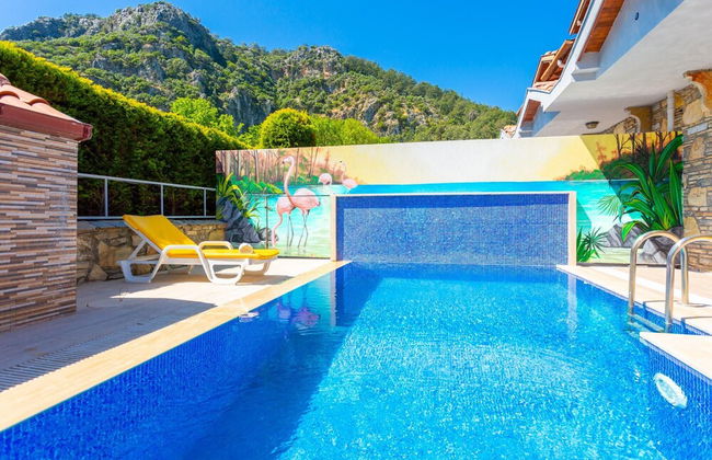 Villa Canan Paradise - Photo 31