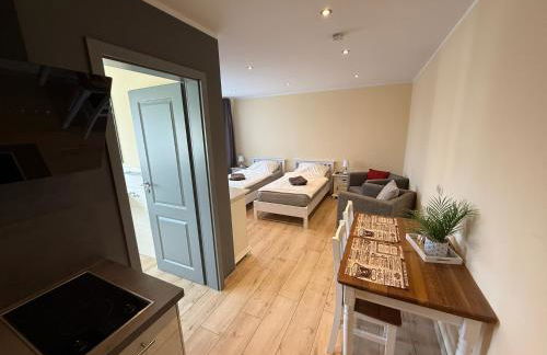 Aparthotel Rotheul - Photo 29