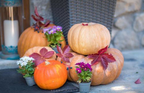 Arachova Mountain Villa - Foto 50