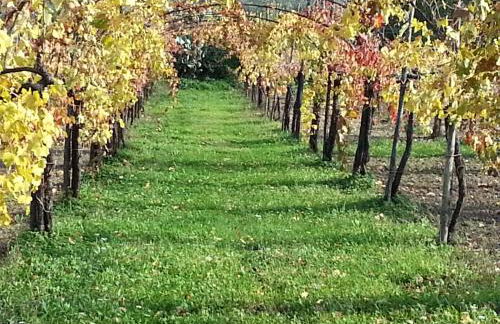 I Giardini Di Eidos - Foto 15