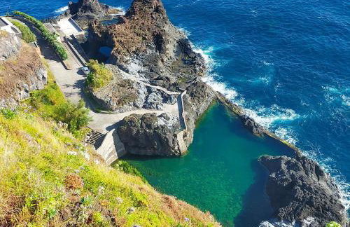 Ninho Gaivota - Foto 21