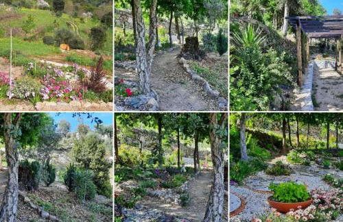 Bosque da Fantasia - Foto 19