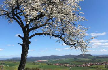 Rhön - Nestchen - Foto 29