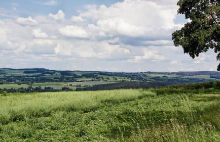 Ferienhaus Drebach - Foto 97