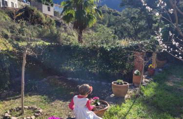 Trocito de Paraíso en la Sierra Espadán - Foto 38